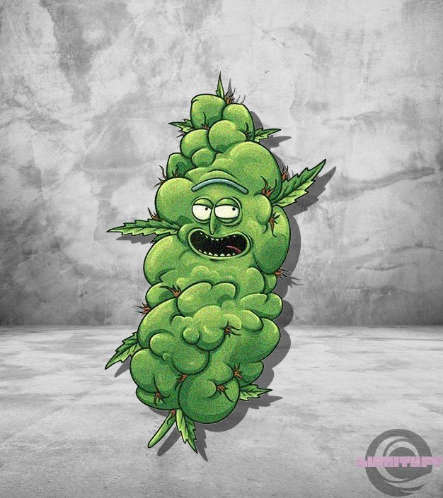 Alfombra Rick Cogollo